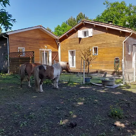 Grande Maison Nature Proche Bassin Casa vacanze *
